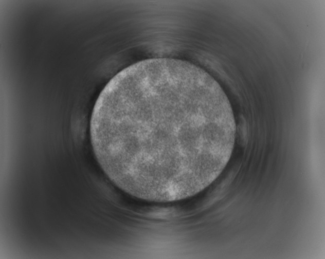 X0000088450458200706191314