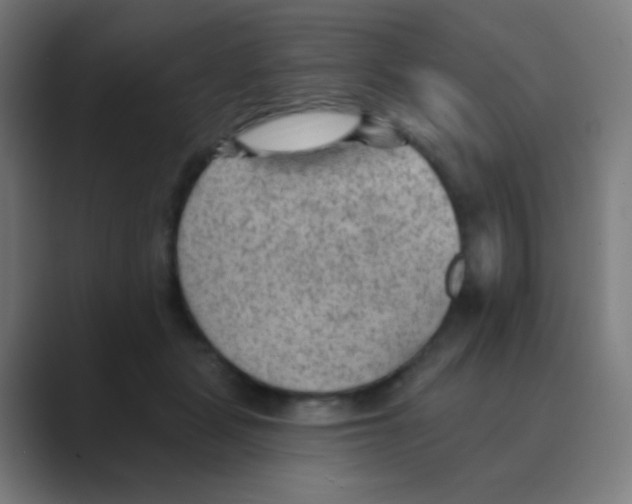 X0000088450461200706191314