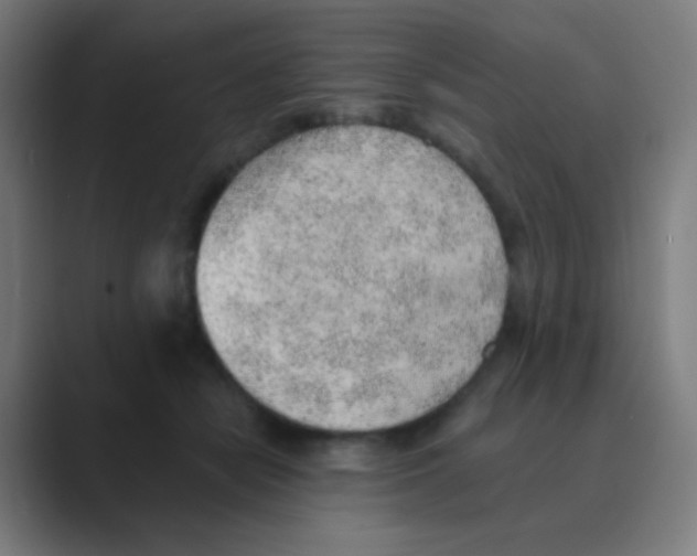X0000088450462200706191314