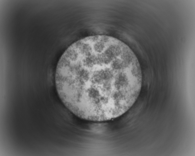 X0000088450465200706191314