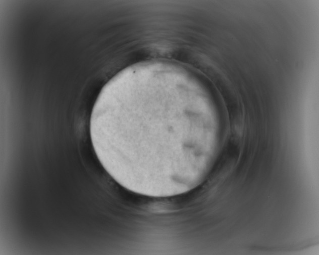 X0000088450468200706191314