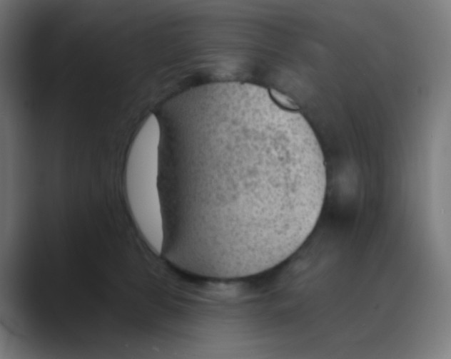X0000088450469200706191314
