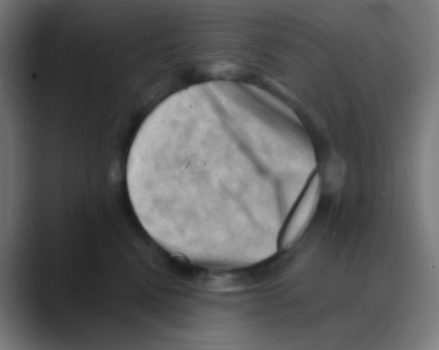 X0000088450472200706191314
