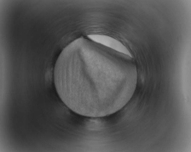 X0000088450475200706191314