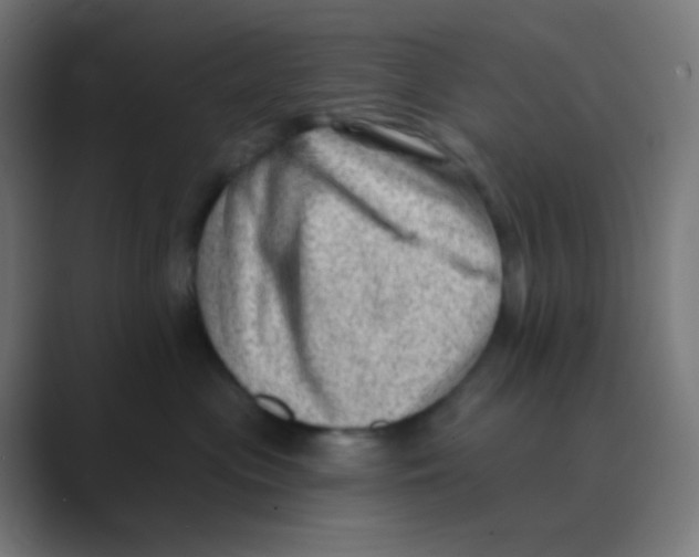 X0000088450477200706191314