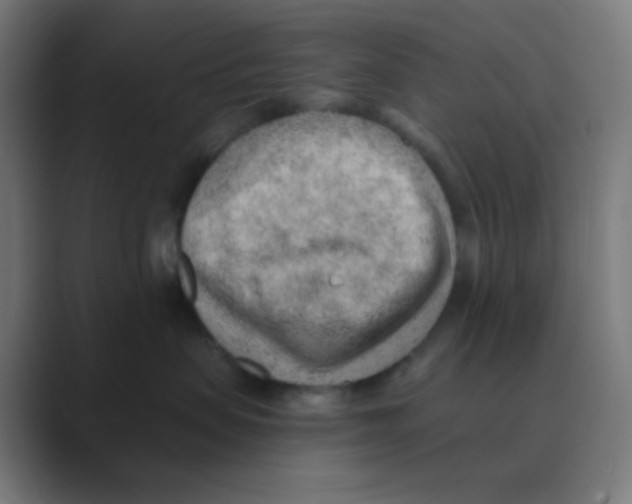 X0000088450479200706191314