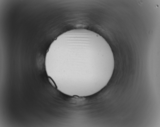 X0000088450480200706191314