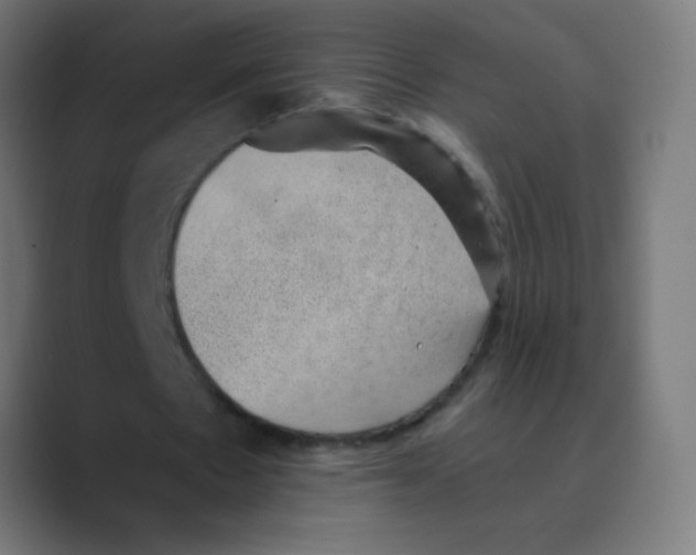 X0000088450481200706191314
