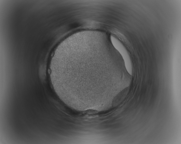 X0000088450484200706191314