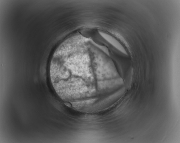 X0000088450487200706191314
