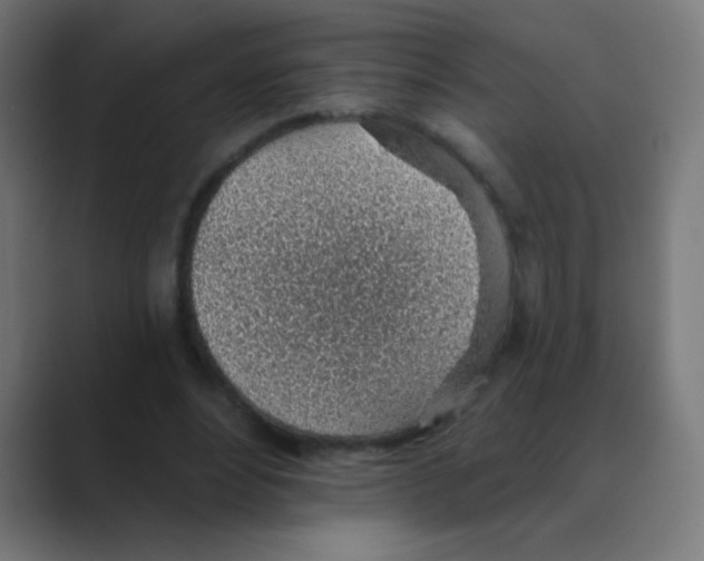 X0000088450488200706191314