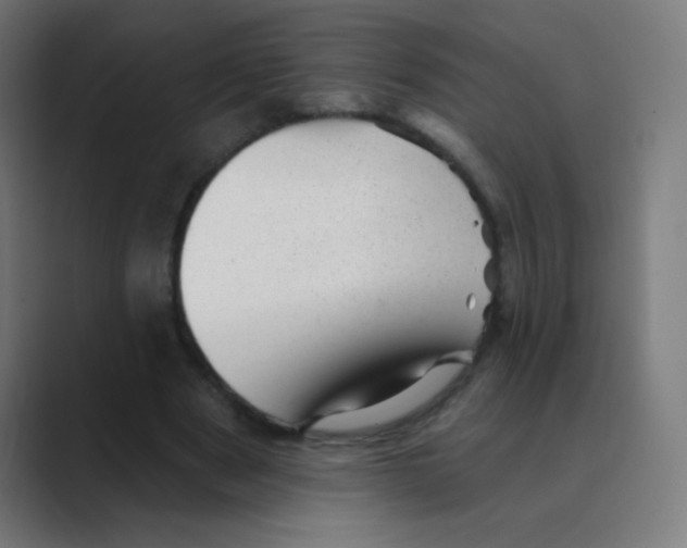 X0000088450489200706191314
