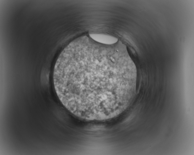 X0000088450491200706191314