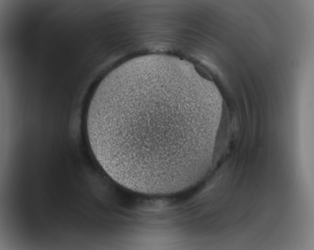 X0000088450492200706191314