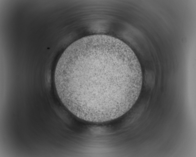 X0000088450494200706191314