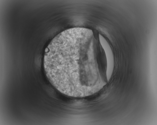 X0000088450495200706191314
