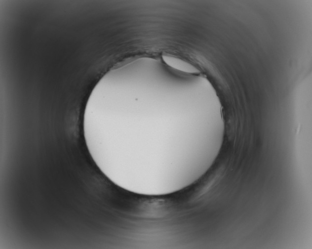 X0000088450497200706191314