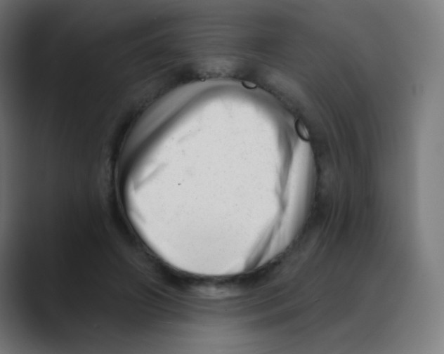 X0000088450498200706191314