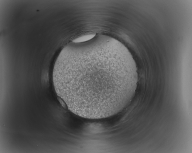 X0000088450500200706191314