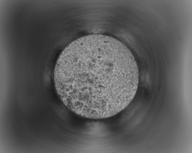 X0000088450503200706191313