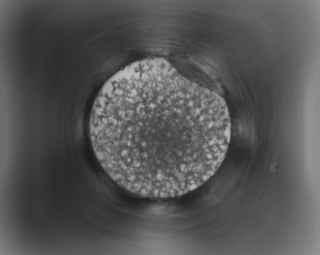 X0000088450504200706191313