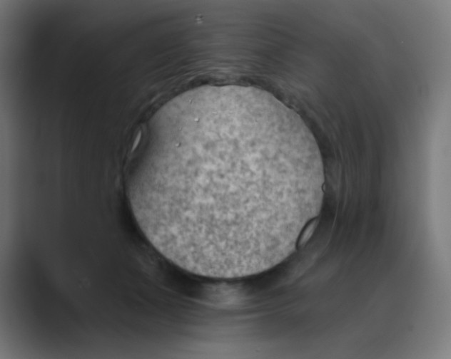 X0000088450511200706191313