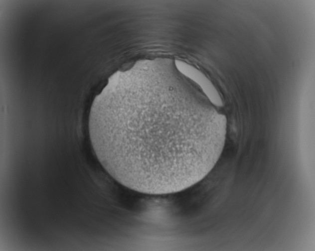 X0000088450512200706191313