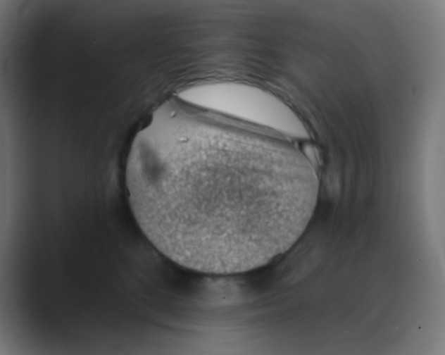 X0000088450520200706191313