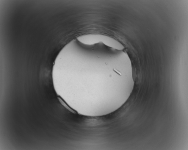 X0000088450521200706191313