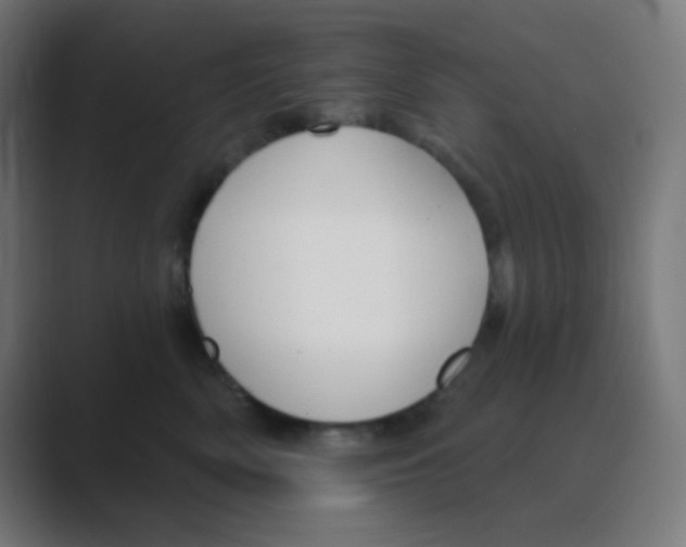 X0000088450522200706191313