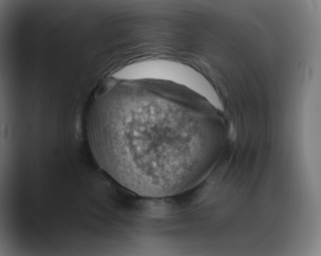 X0000088450524200706191313