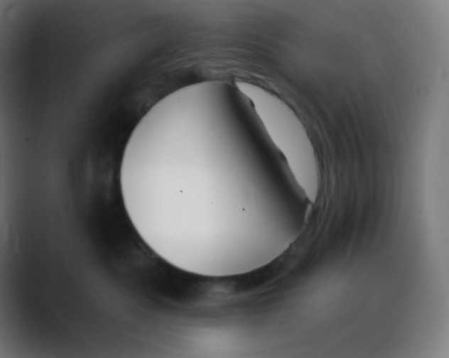X0000088450525200706191313