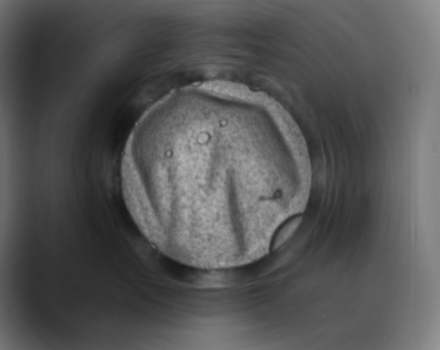 X0000088450527200706191313