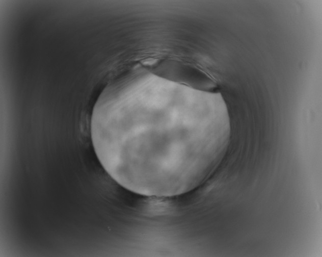 X0000088450528200706191313