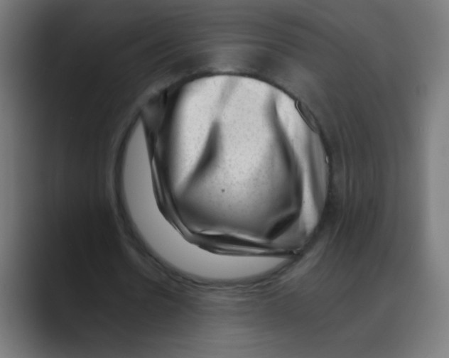 X0000088450530200706191313