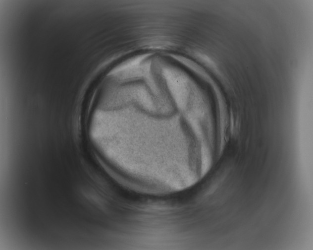X0000088450531200706191313