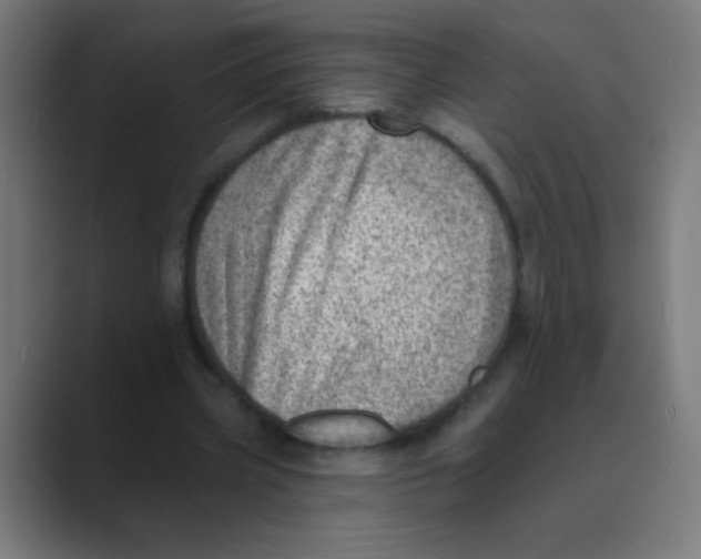 X0000088450533200706191313