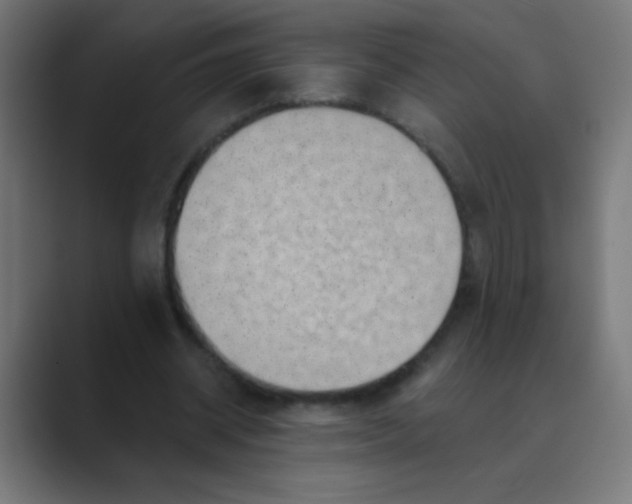 X0000088450534200706191313