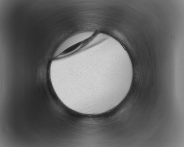 X0000088450538200706191313