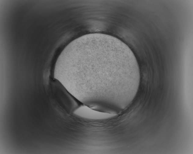 X0000088450539200706191313