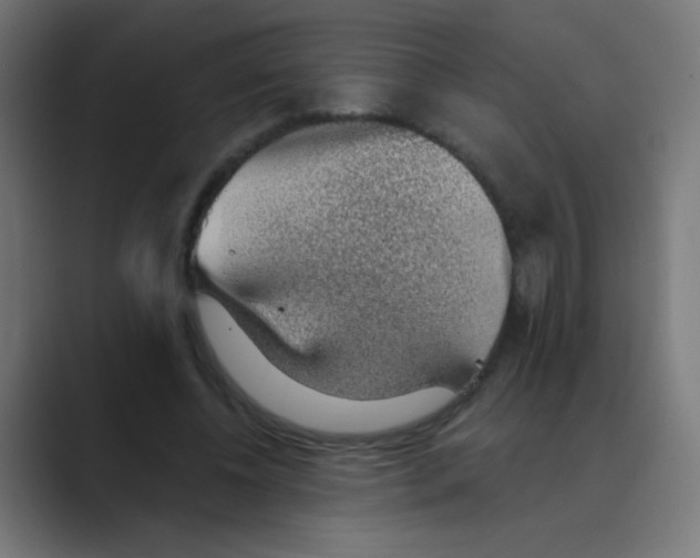 X0000088450540200706191313