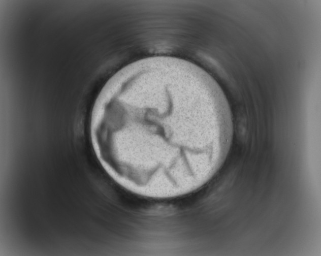 X0000088450543200706191313