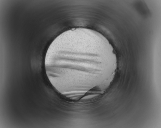 X0000088450544200706191313