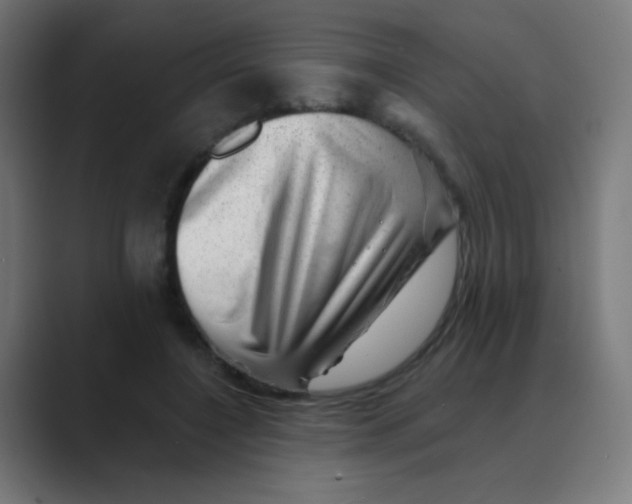 X0000088450548200706191313