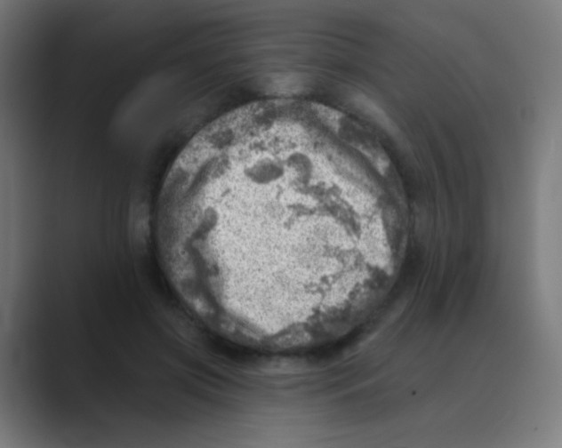 X0000088450549200706191313