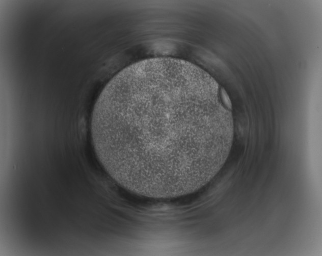 X0000088450551200706191313