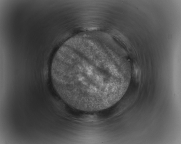 X0000088450552200706191313