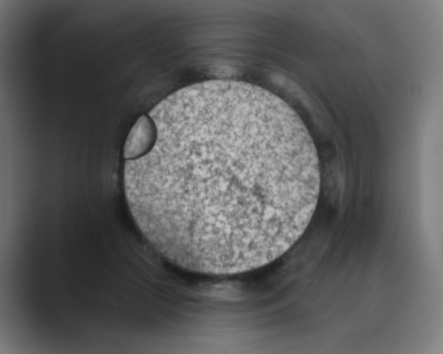 X0000088450553200706191313