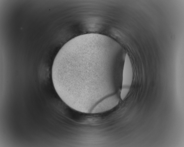 X0000088450555200706191313