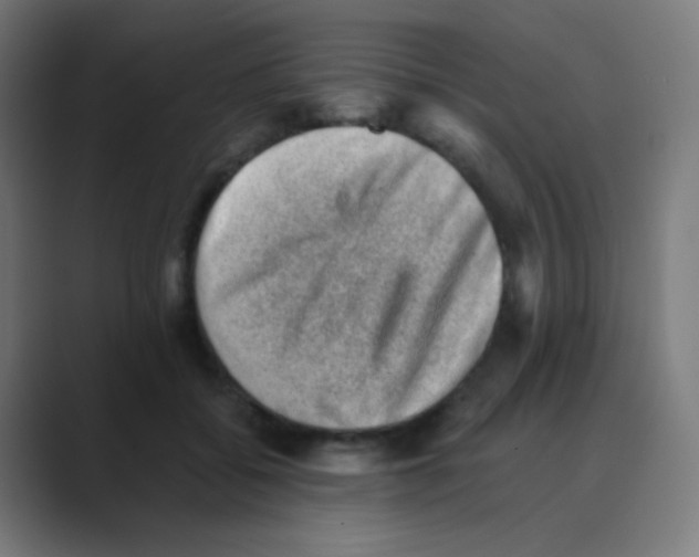 X0000088450556200706191313